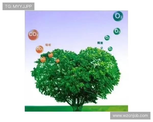 北京飞盘队速度表现分析及其对比赛胜负的影响探讨 北京飞盘队速度表现分析及其对比赛胜负的影响探讨