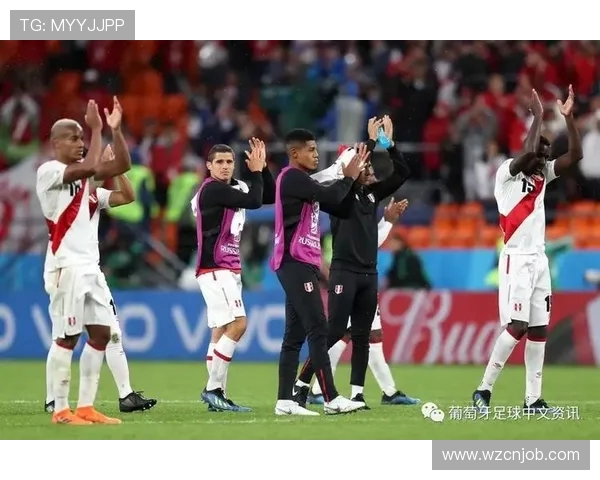 荷兰与秘鲁精彩对决直播比分实时更新，球迷们不容错过的赛事盛宴