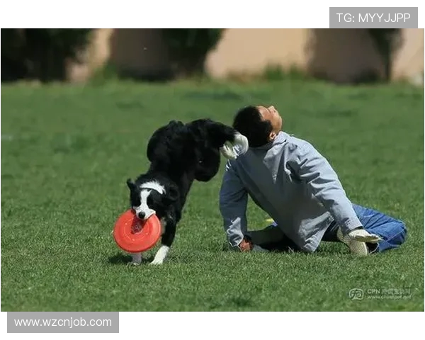 广州飞盘队在极限运动世界杯中的团队协作表现分析与点评