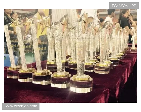 成都排球队的拼搏之路与荣耀时刻全景回顾