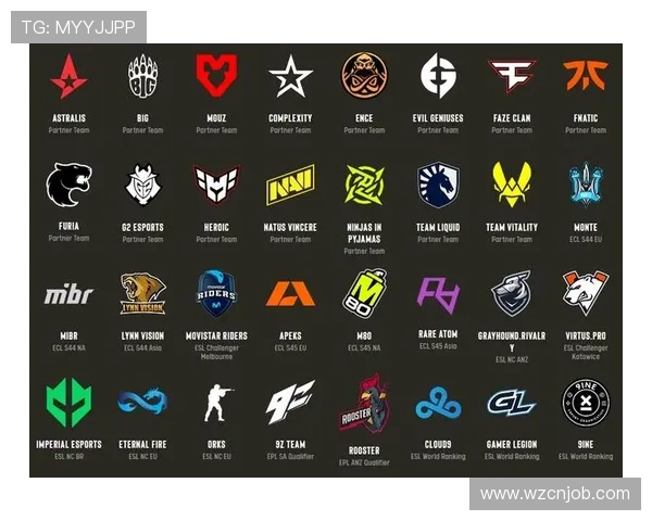 最新CSGO战术排名揭晓TES战队稳居榜首引领潮流